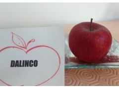 pomme DALINCO 5 kgs