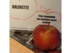 pomme DALINETTE  5 kgs