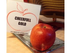 pomme CHEERFULL GOLD 1 kg